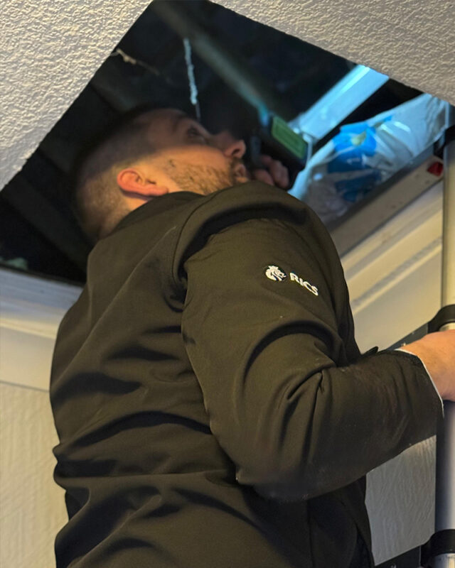 costas inspecting a sheffield loft dore