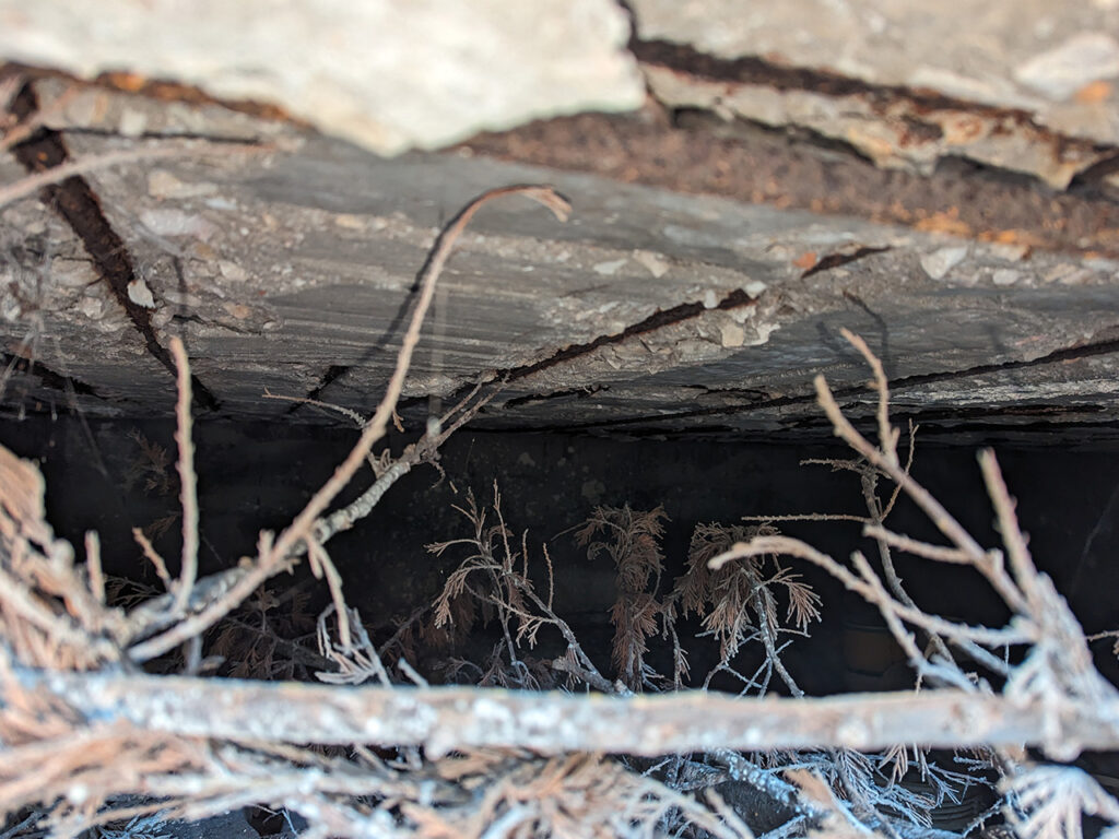 foundation missing image sub serv large