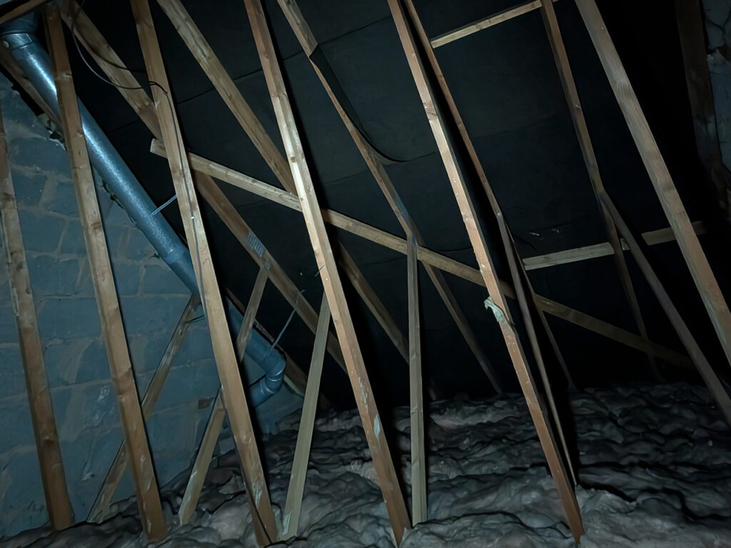 loft inspection sub serv large